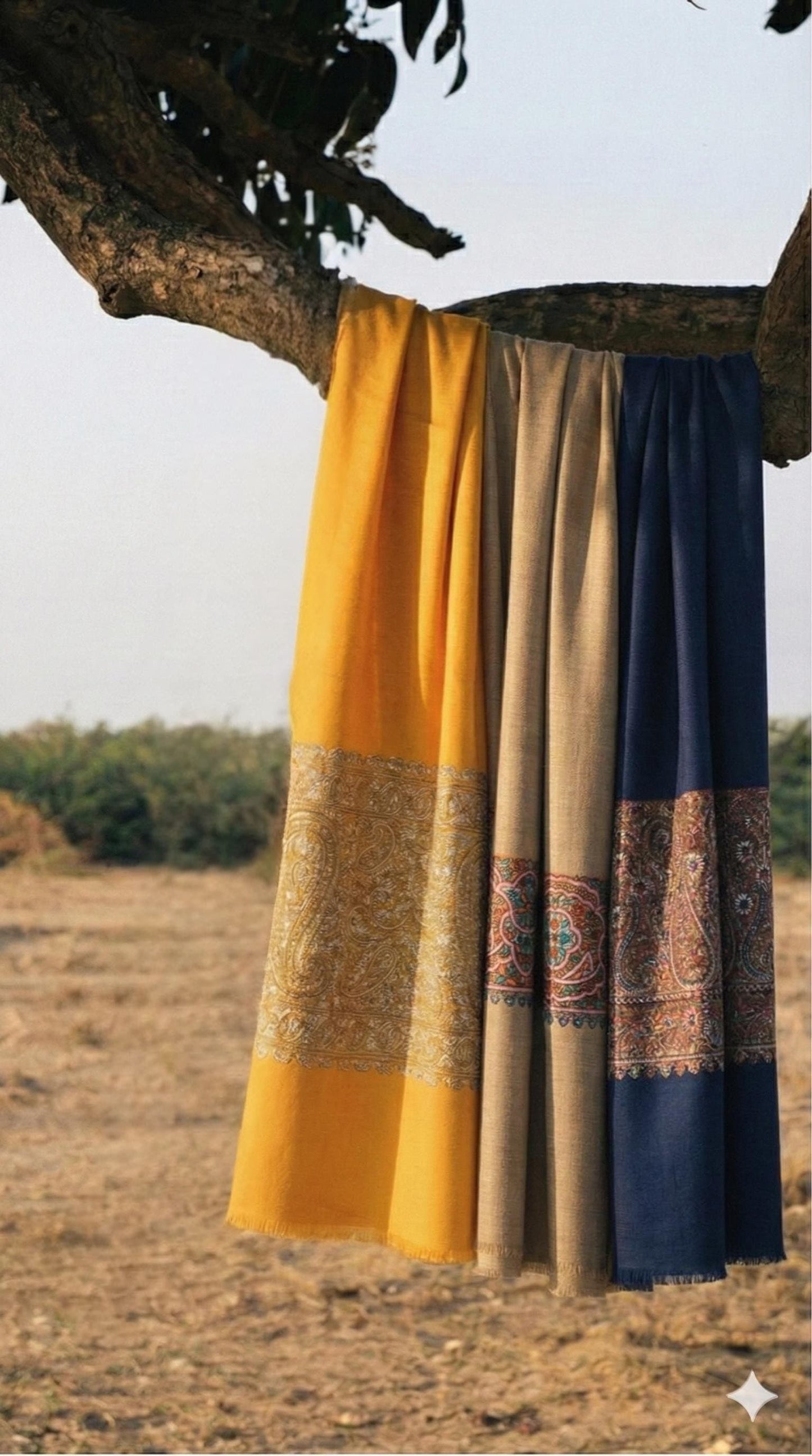 kashmiri Hertiage Border Shawl